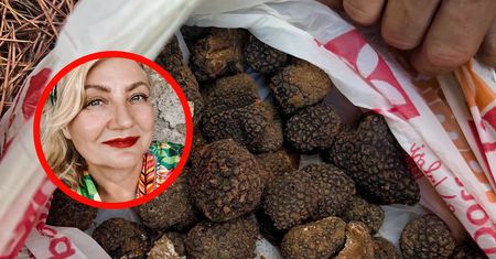 Polka poszła do lasu w Toskani. Znalazła grzyby warte setki złotych
