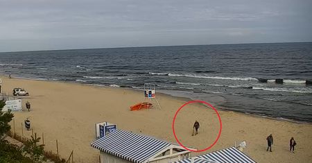 Była 8:20. Ujęcie z Krynicy. Pojawił się na plaży
