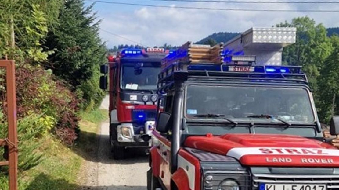 Mężczyznę użądliła osa. Niestety jego życia nie udało się uratować 