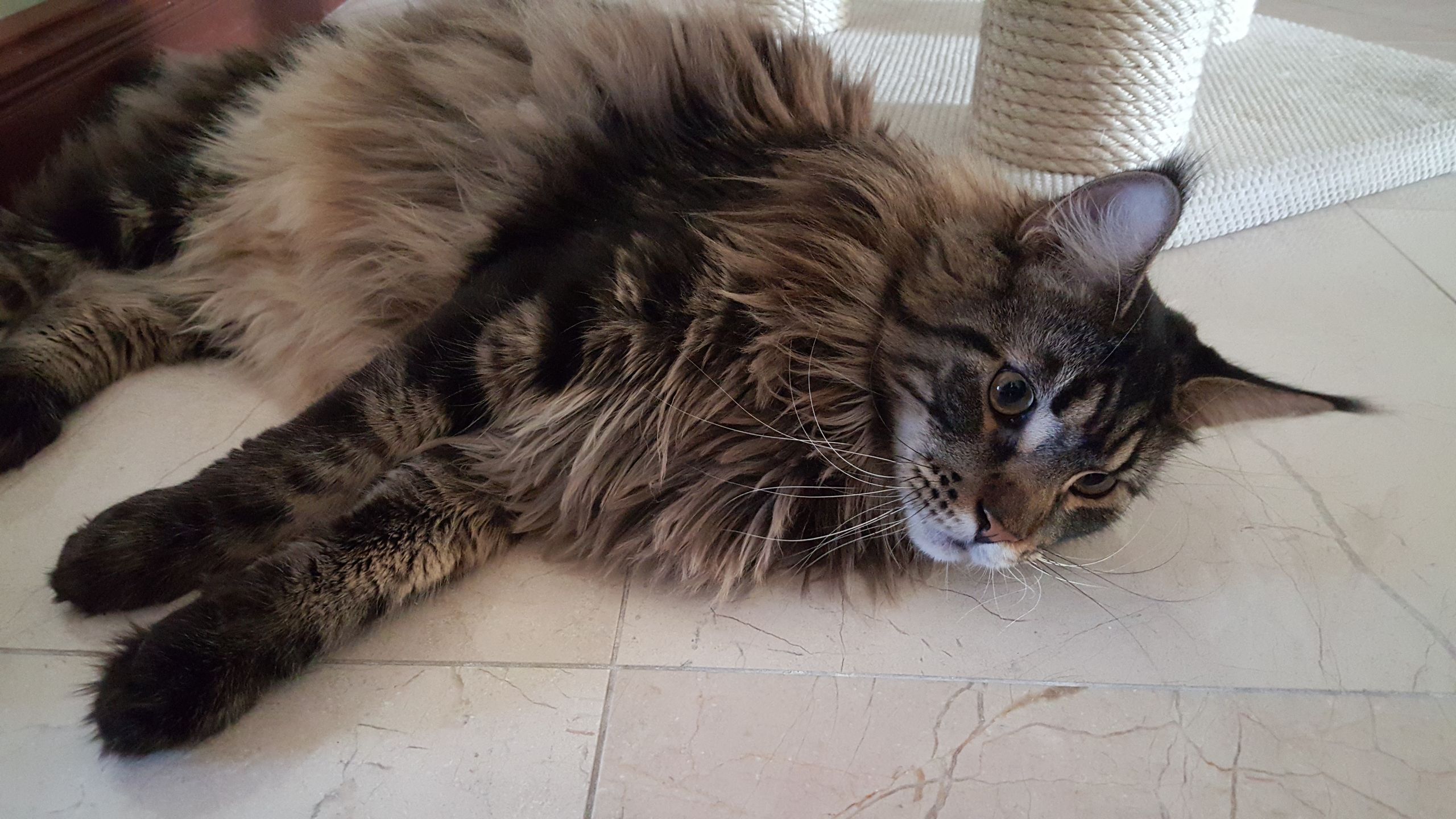 Samsung Galaxy S6 – test fotograficzny 28