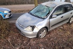 Śmiertelnie potrąciła konia. Mandat dla właściciela