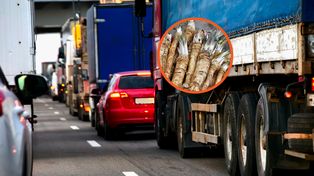 Transport z Chin zatrzymany. Odrażające odkrycie służb