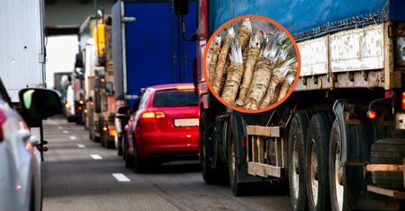 Transport z Chin zatrzymany. Odrażające odkrycie służb