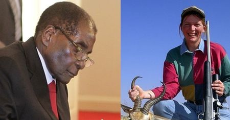 Władze Zimbabwe W KOŃCU ZAKAZAŁY POLOWAŃ na dzikie zwierzęta!