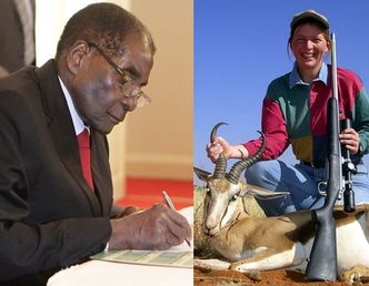 Władze Zimbabwe W KOŃCU ZAKAZAŁY POLOWAŃ na dzikie zwierzęta!