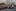 Ford Mondeo Vignale (2015) 2.0 TDCI Powershift - zdjęcia