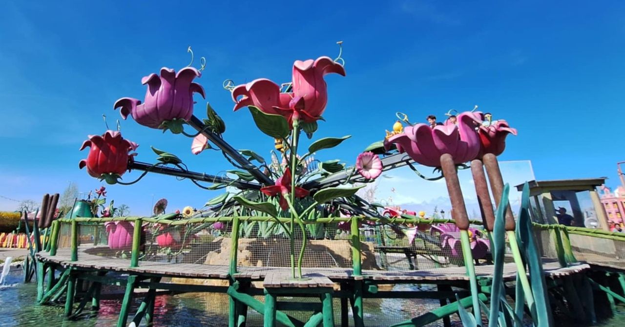 Karuzele, rollercoaster, huśtawki, zjeżdżalnie i inne atrakcje. Majaland w Lubuskiem to niezwykły park rozrywki. Bilety od 1 zł! GALERIA