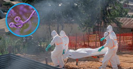 Wirus rozprzestrzenia się szybciej niż kiedykolwiek. Tysiąc ofiar epidemii