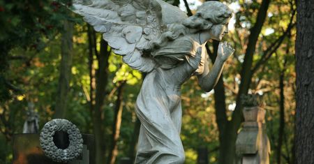 Wyjątkowe cmentarze w Polsce. Które warto odwiedzić?