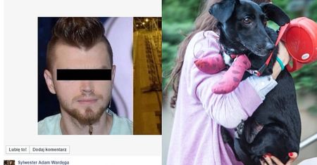 Będzie śledztwo w sprawie "psa-pająka"!
