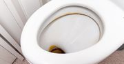 Wlej do toalety. Popularny napój wyczyści ją na błysk