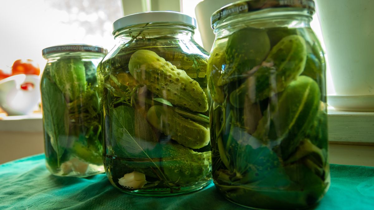 Co zrobić, żeby ogórki były chrupiące i się nie zepsuły? / zdjęcie poglądowe