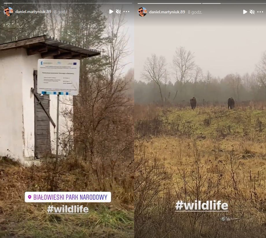 Daniel Martyniuk zachwyca się przyrodą