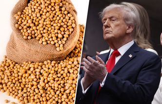 Chiny bojkotują amerykańską soję. Farmerzy mają problem