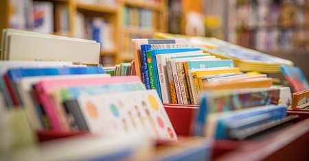 Gwiazdy literatury, muzyki i podróży na festiwalu BIO TOP 2025