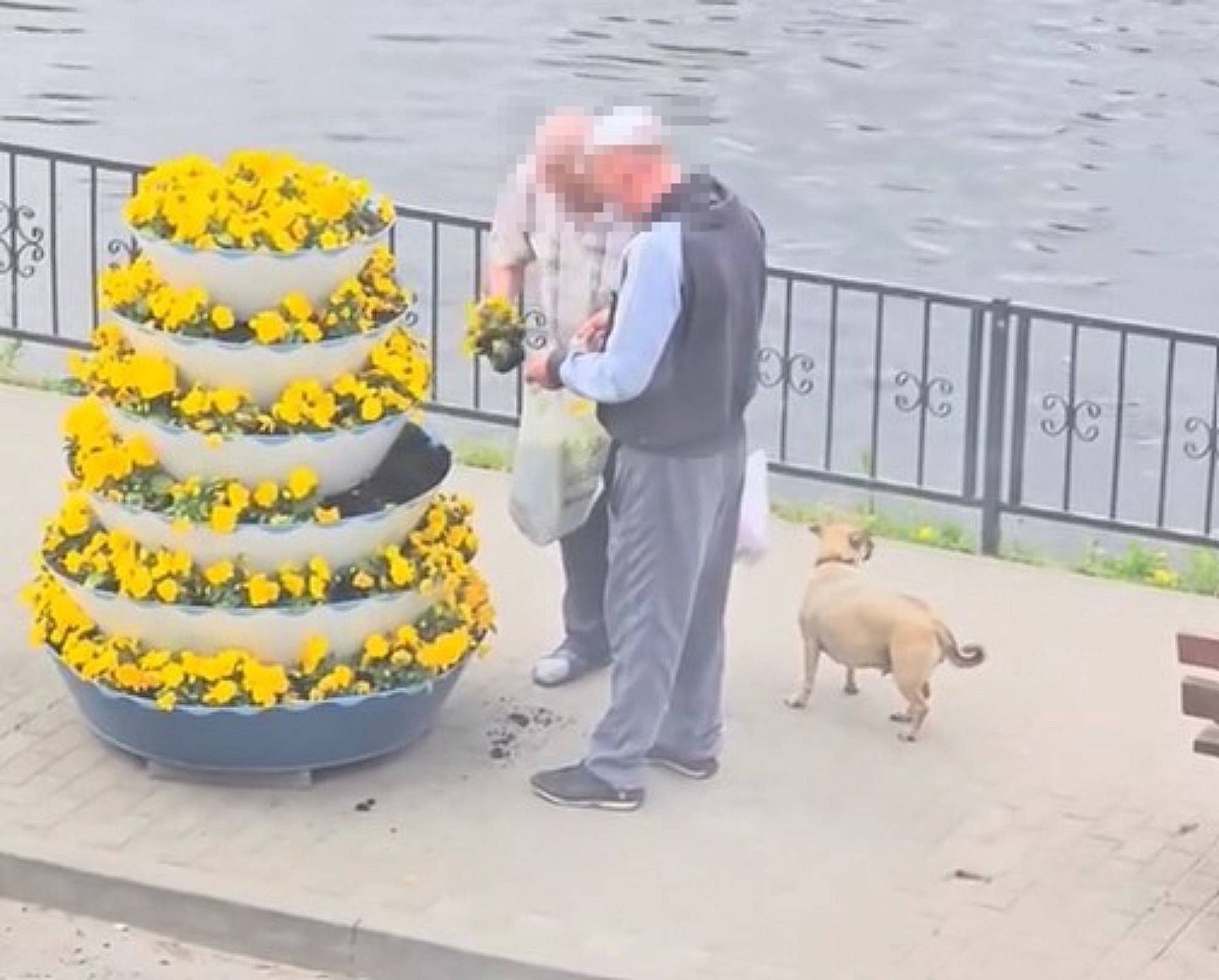 Mężczyźni ukradli bratki w centrum Wyrzyska