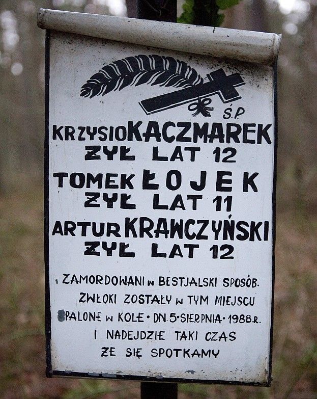 Obraz