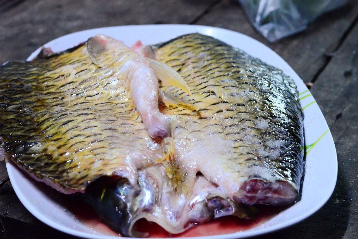 Karp - Pyszności