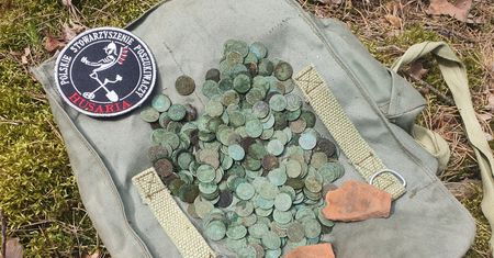 Niezwykłe odkrycie w okolicach Jadowa. Setki szelągów Jana Kazimierza