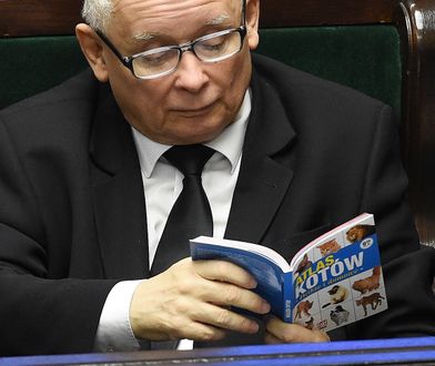 Piątka dla zwierząt. Wahanie w koalicji