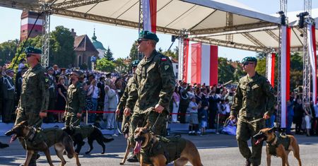 Zwierzęta na defiladzie. Wojsko wydało komunikat