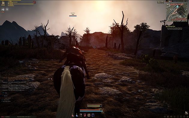 Black Desert