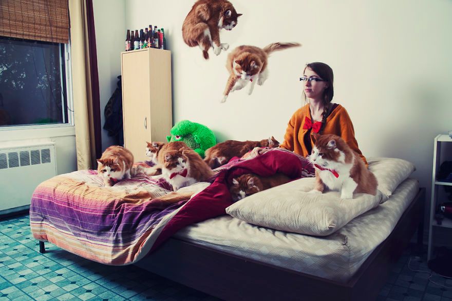 Z aparatem wśród szalonych miłośników kotów i ich zwierzaków