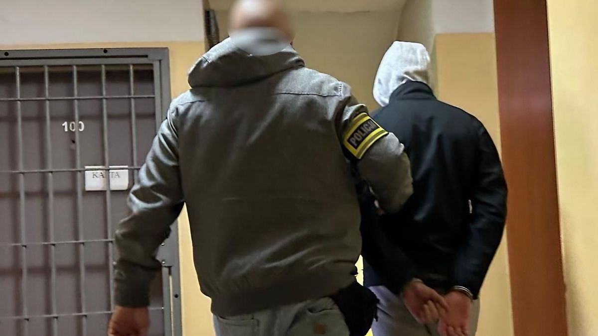 Zatrzymani oszuści metodą "na BLIK"
