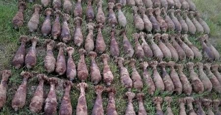 Dziesiątki granatów w ogródku. Zaskakujące odkrycie z II wojny światowej w Pułtusku
