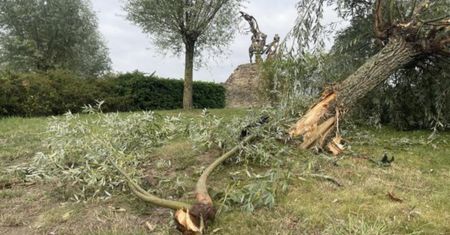 Wypadek sześciu Polaków w BMW w Belgii. Kierowca był odurzony