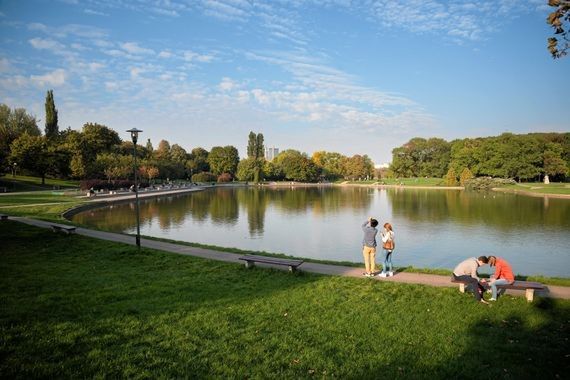 Warszawskie parki zagrożone wycinką. "Kpina z ochrony przyrody"