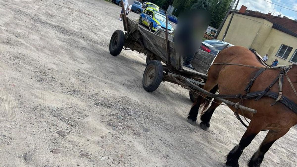 Woźnica miał 1,8 promila alkoholu we krwi