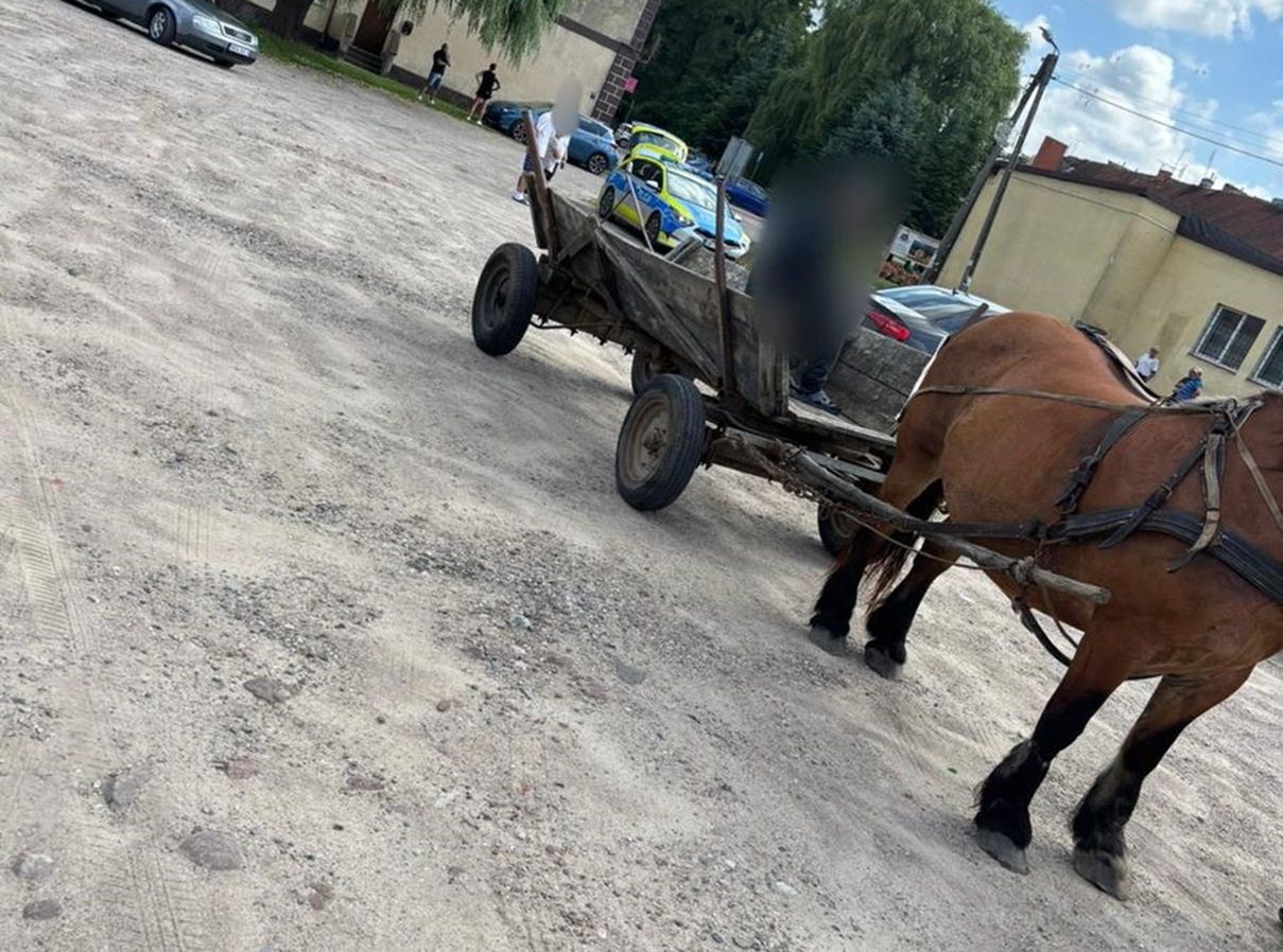 "Nie zapanował nad koniem". Pijany woźnica spowodował kolizję