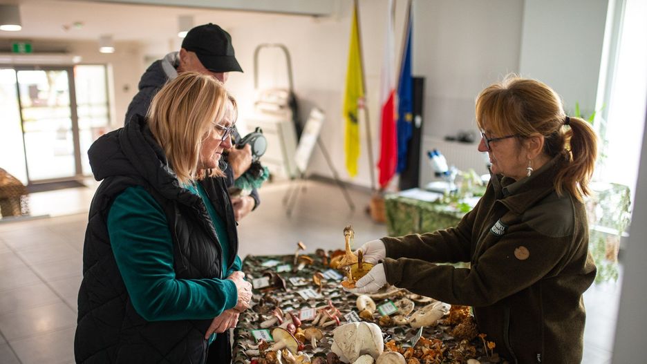 Wystawa grzybów w Dolinie Słupi