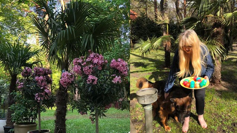 Tak mieszka Maryla Rodowicz