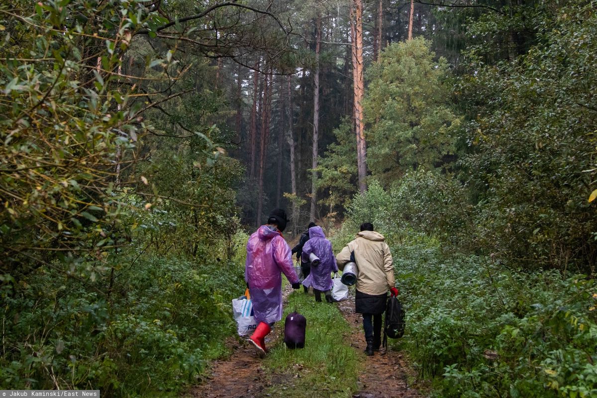 Dramat migrantów na granicy z Białorusią. Medyczka o problemach z temperaturą 