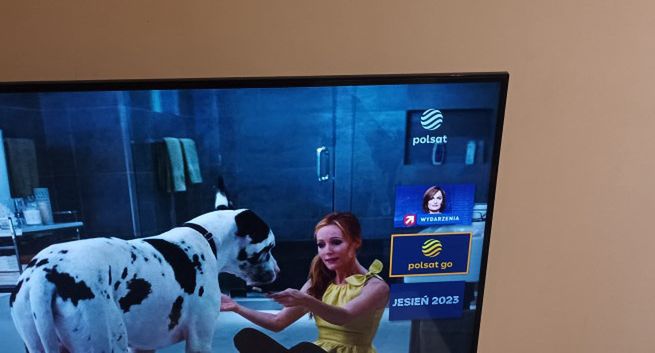 Polsat Box Go może trafić do naziemnej telewizji cyfrowej