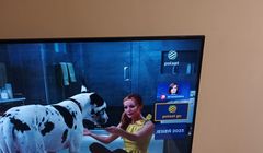 Polsat Box Go może trafić do naziemnej telewizji cyfrowej