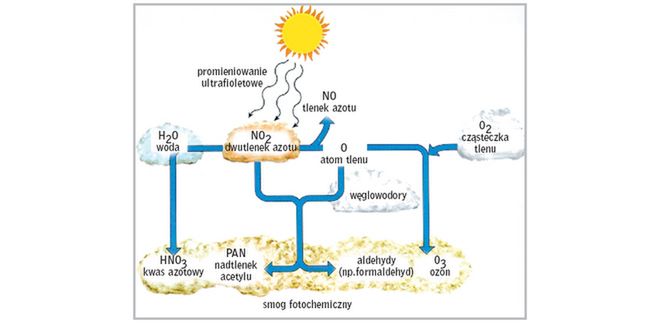 Powstawanie smogu fotochemicznego