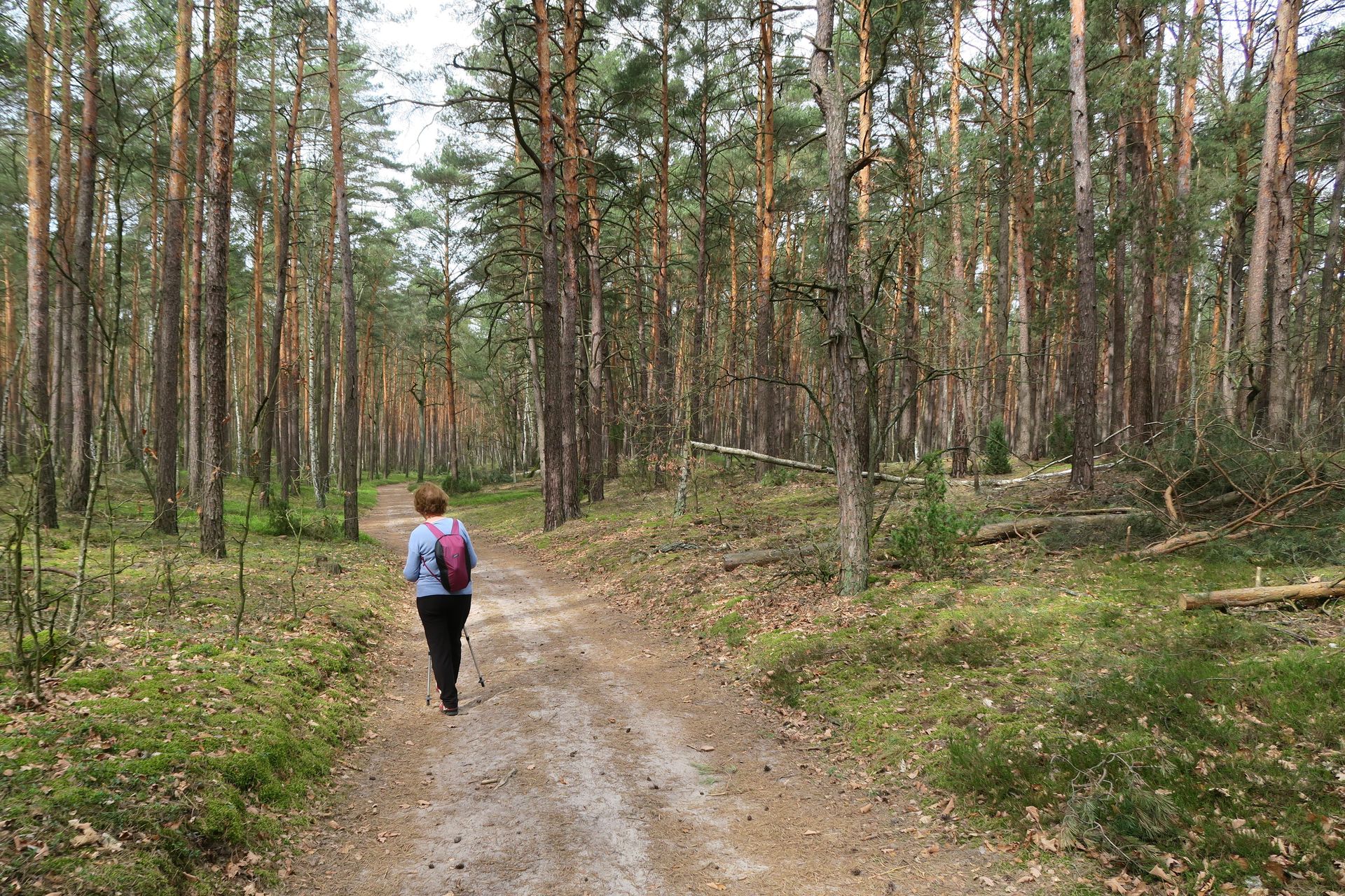 Turyści skorzystają. Nowe linie autobusowe ruszą już na majówkę
