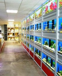 Polski rynek zoologiczny rośnie jak na drożdżach