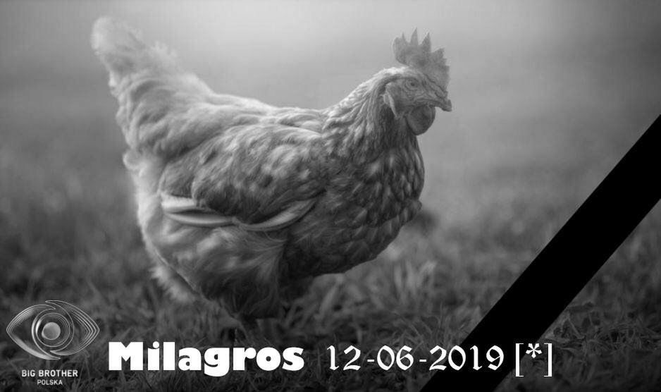"Big Brother" - Milagros nie wytrzymała upałów