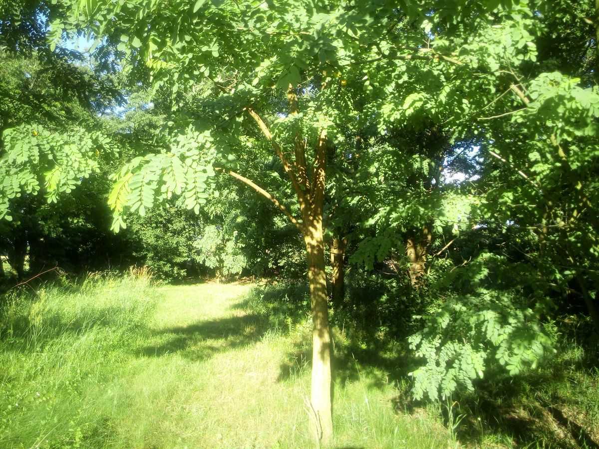 Archos 50 Saphir – test wytrzymałego kompana wakacyjnych wyjazdów 16