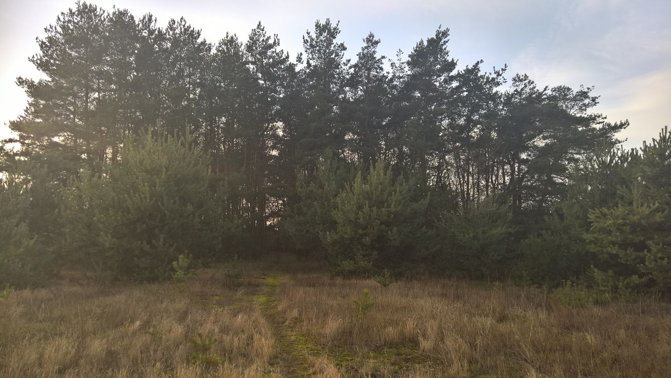 Lumia 950 XL – test drogiego smartfonu, który zawodzi zbyt często 8