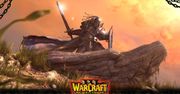 Koniec Battle.net. Po dwudziestu latach Blizzard zmienia markę