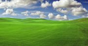 Mimo wydania grudniowych łatek, Windows XP wciąż podatne na lukę 0-day