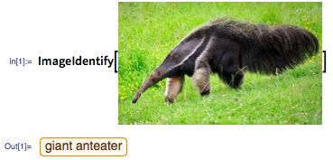 Mrówkojad parametrem funkcji języka Wolfram Language