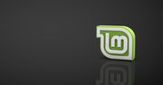 Nadchodzi Linux Mint 18.1: w Cinnamonie wreszcie pionowe panele