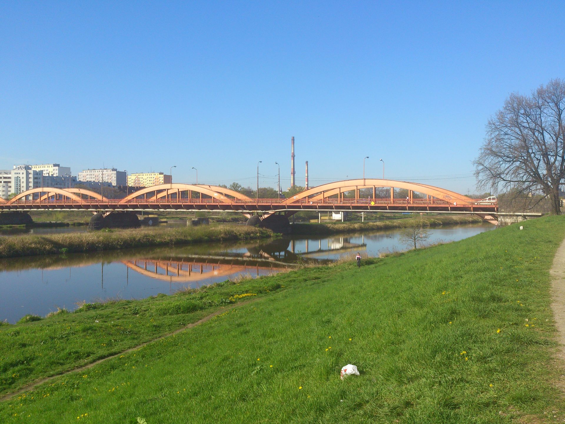 Obraz