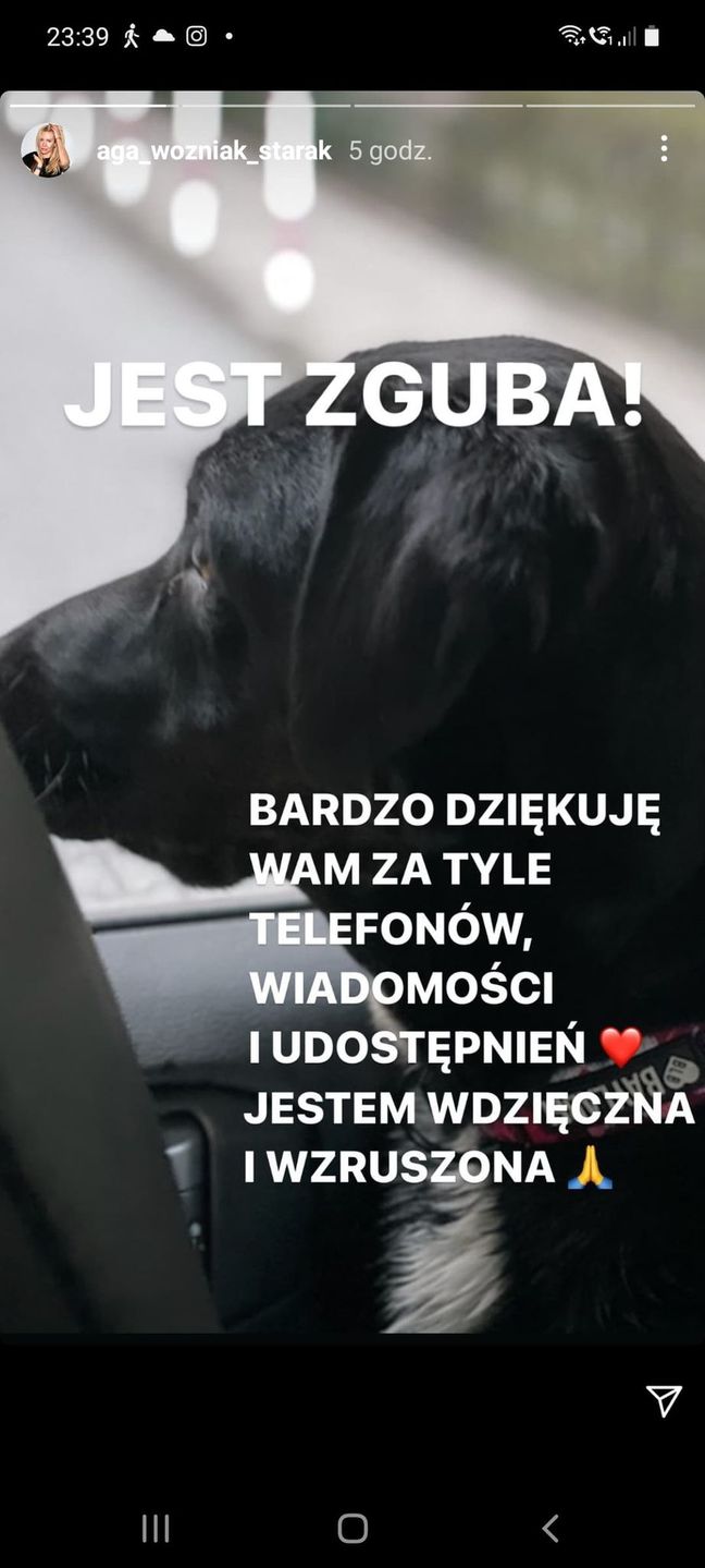 Agnieszka Woźniak-Starak poszukiwała swojego psa